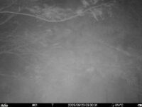 Sep 23 2025  3:00:30, #01