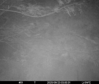 Sep 23 2025  3:00:30, #01