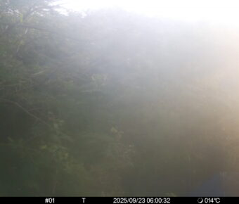 Sep 23 2025  6:00:32, #01
