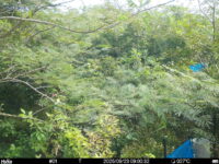 Sep 23 2025  9:00:32, #01