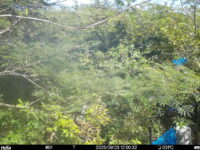 Sep 23 2025 12:00:32, #01