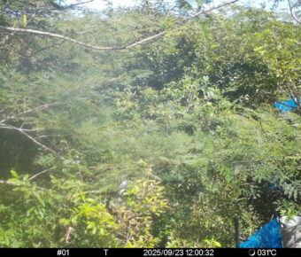 Sep 23 2025 12:00:32, #01