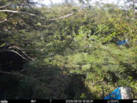 Sep 23 2025 15:00:31, #01