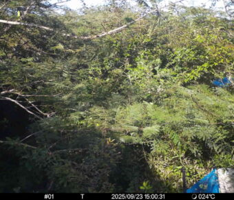 Sep 23 2025 15:00:31, #01
