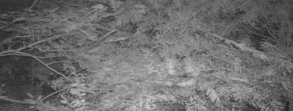 Sep 23 2025 18:00:30, #01