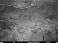 Sep 23 2025 18:00:30, #01