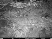 Sep 23 2025 21:00:32, #01