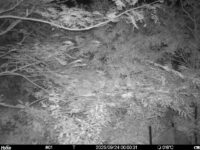 Sep 24 2025  0:00:31, #01