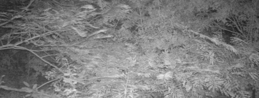 Sep 24 2025  3:00:30, #01