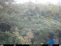 Sep 24 2025  6:00:31, #01