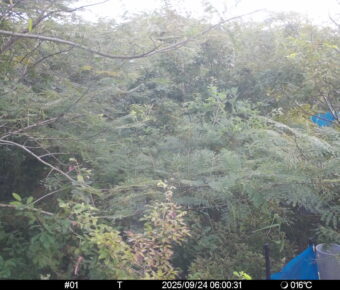 Sep 24 2025  6:00:31, #01