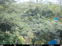 Sep 24 2025  9:00:31, #01