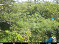 Sep 24 2025 12:00:32, #01