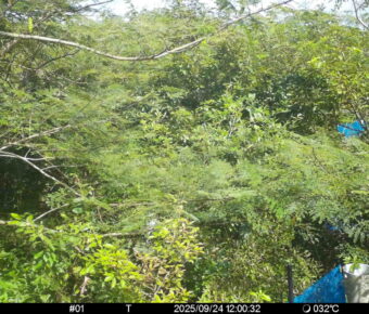 Sep 24 2025 12:00:32, #01