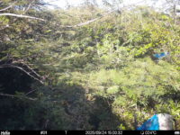 Sep 24 2025 15:00:32, #01