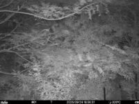 Sep 24 2025 18:00:31, #01