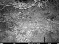 Sep 24 2025 21:00:32, #01