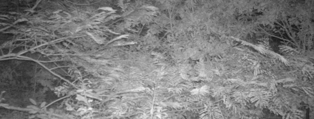 Sep 25 2025  3:00:30, #01