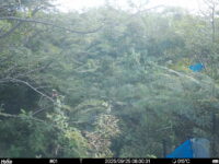 Sep 25 2025  6:00:31, #01