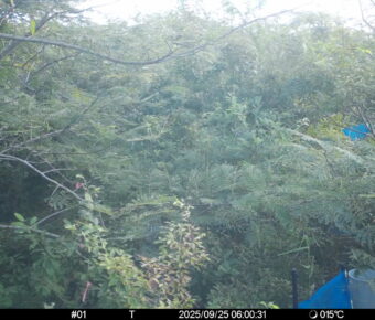 Sep 25 2025  6:00:31, #01