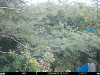 Sep 25 2025  9:00:32, #01