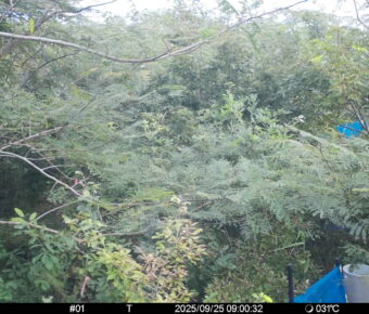 Sep 25 2025  9:00:32, #01