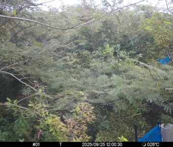 Sep 25 2025 12:00:30, #01