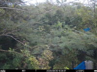 Sep 25 2025 15:00:31, #01