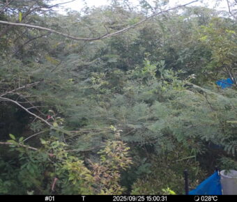 Sep 25 2025 15:00:31, #01
