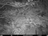 Sep 25 2025 18:00:31, #01