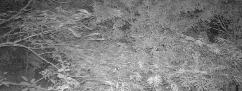 Sep 26 2025  3:00:30, #01
