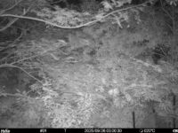 Sep 26 2025  3:00:30, #01