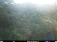 Sep 26 2025  6:00:32, #01