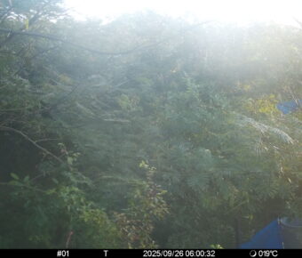 Sep 26 2025  6:00:32, #01