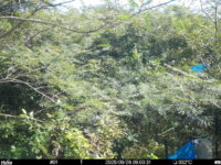 Sep 26 2025  9:00:31, #01