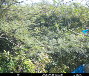 Sep 26 2025  9:00:31, #01