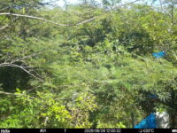 Sep 26 2025 12:00:31, #01