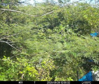Sep 26 2025 12:00:31, #01