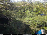 Sep 26 2025 15:00:31, #01