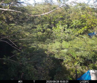 Sep 26 2025 15:00:31, #01