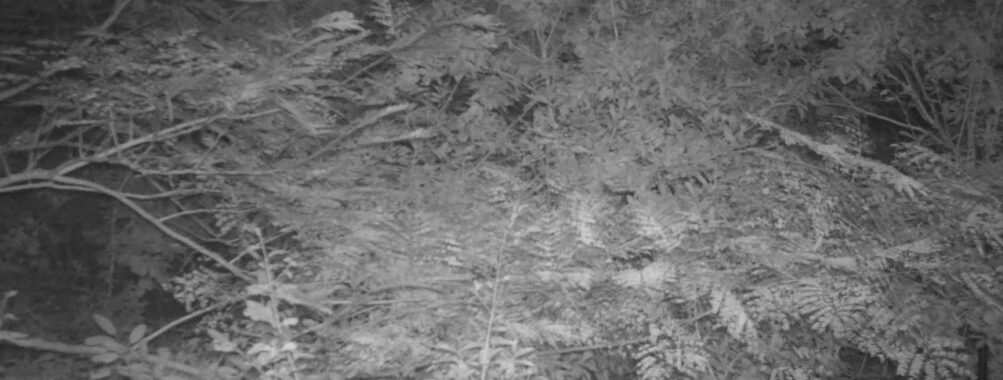Sep 26 2025 18:00:31, #01