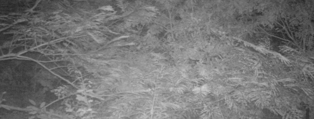 Sep 26 2025 21:00:32, #01
