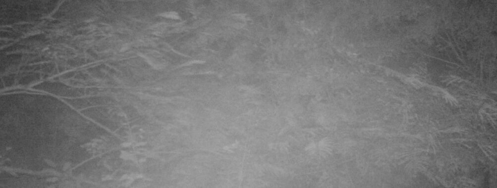 Sep 27 2025  0:00:31, #01