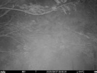 Sep 27 2025  0:00:31, #01