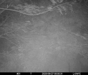 Sep 27 2025  0:00:31, #01