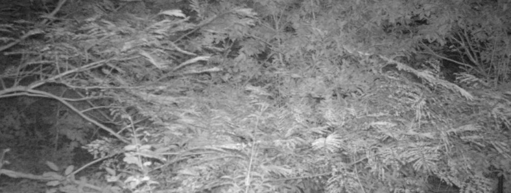 Sep 27 2025  3:00:30, #01