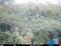 Sep 27 2025  6:00:31, #01