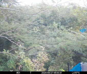 Sep 27 2025  6:00:31, #01
