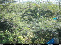 Sep 27 2025  9:00:31, #01