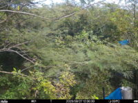 Sep 27 2025 12:00:30, #01